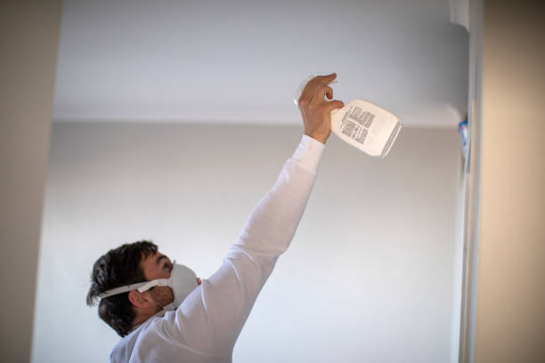 Best HVAC Mold Remediation in San Augustine, TX