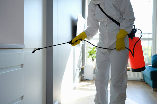 Best Emergency Mold Remediation in San Augustine, TX